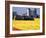 Worker Securing Pallets of Tulips to Truck, Skagit Valley, Washington, USA-William Sutton-Framed Photographic Print