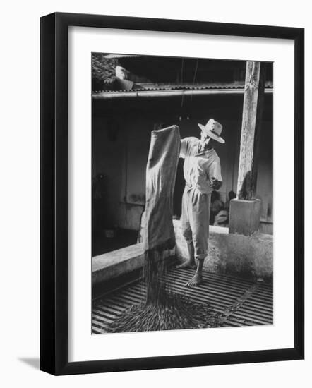 Worker Spreading Coffee on La Relana Plantation-John Dominis-Framed Photographic Print