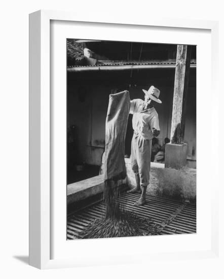 Worker Spreading Coffee on La Relana Plantation-John Dominis-Framed Photographic Print