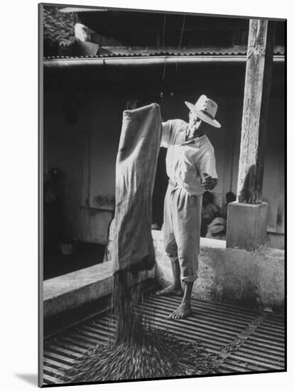 Worker Spreading Coffee on La Relana Plantation-John Dominis-Mounted Photographic Print