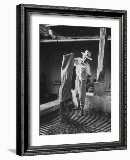 Worker Spreading Coffee on La Relana Plantation-John Dominis-Framed Photographic Print