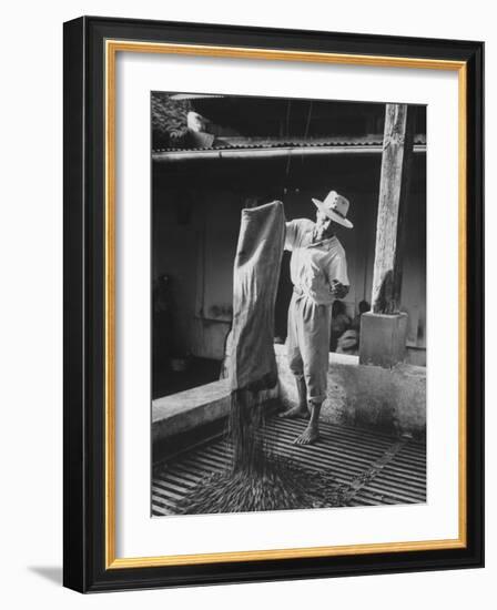 Worker Spreading Coffee on La Relana Plantation-John Dominis-Framed Photographic Print