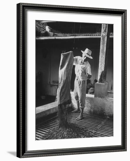 Worker Spreading Coffee on La Relana Plantation-John Dominis-Framed Photographic Print