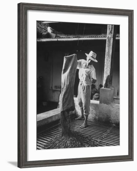 Worker Spreading Coffee on La Relana Plantation-John Dominis-Framed Photographic Print