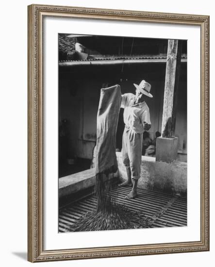 Worker Spreading Coffee on La Relana Plantation-John Dominis-Framed Photographic Print