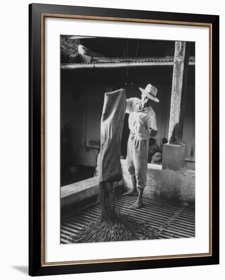 Worker Spreading Coffee on La Relana Plantation-John Dominis-Framed Photographic Print