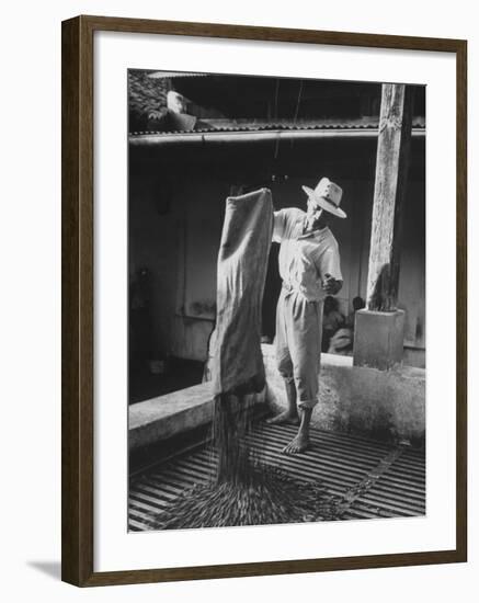 Worker Spreading Coffee on La Relana Plantation-John Dominis-Framed Photographic Print