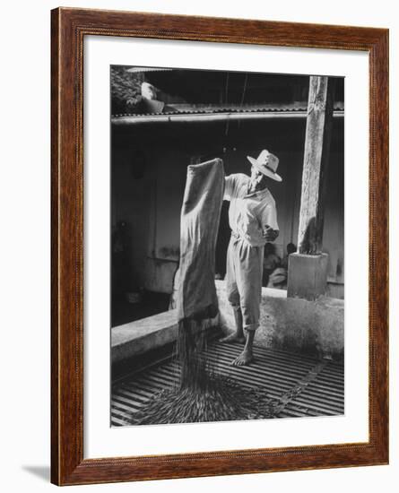 Worker Spreading Coffee on La Relana Plantation-John Dominis-Framed Photographic Print