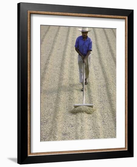 Worker Using Hoe Like Device to Turn Coffee Beans Drying in the Sun at La Retana Plantation-John Dominis-Framed Photographic Print