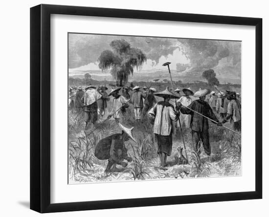 Workers at a Sugar Plantation-null-Framed Giclee Print