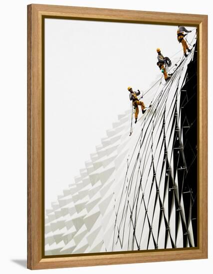 Workers Climb Down the Roof of Singapore's Spikey Fruit Shaped Esplanade Arts Center-null-Framed Premier Image Canvas