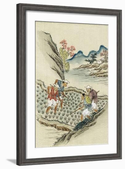 Workers Cultivating Rice in a Paddy Field, 19th Century-null-Framed Giclee Print