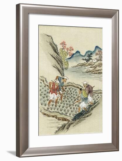 Workers Cultivating Rice in a Paddy Field, 19th Century-null-Framed Giclee Print