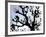 Workers Cuts Young Sprouts from a Plane Tree at an Avenue at the River Main-null-Framed Photographic Print