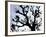 Workers Cuts Young Sprouts from a Plane Tree at an Avenue at the River Main-null-Framed Photographic Print