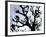 Workers Cuts Young Sprouts from a Plane Tree at an Avenue at the River Main-null-Framed Photographic Print