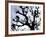 Workers Cuts Young Sprouts from a Plane Tree at an Avenue at the River Main-null-Framed Photographic Print