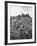 Workers During the Harvest Season Picking Grapes by Hand in the Field For the Wine-Thomas D^ Mcavoy-Framed Photographic Print