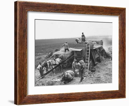 Workers Harvesting Barley Crop on Collective Farm-Carl Mydans-Framed Photographic Print