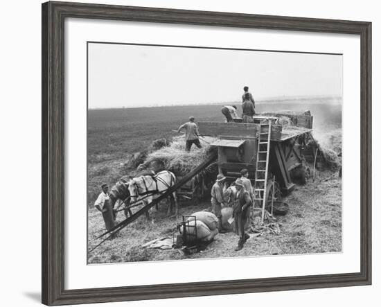 Workers Harvesting Barley Crop on Collective Farm-Carl Mydans-Framed Photographic Print