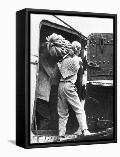 Workers Loading Bananas, Veracruz, 1927-Tina Modotti-Framed Premier Image Canvas