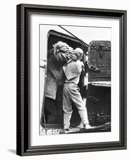 Workers Loading Bananas, Veracruz, 1927-Tina Modotti-Framed Photographic Print