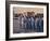 Workers Singing Firm's Song, Matsushita Electric, Japan-David Lomax-Framed Photographic Print