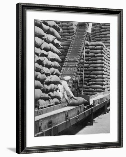 Workers Unloading Bags of Cocoa Beans at a Cadbury Manufacturing Plant-null-Framed Photographic Print