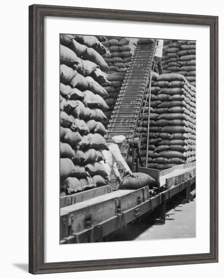 Workers Unloading Bags of Cocoa Beans at a Cadbury Manufacturing Plant-null-Framed Photographic Print