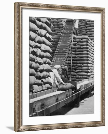Workers Unloading Bags of Cocoa Beans at a Cadbury Manufacturing Plant-null-Framed Photographic Print