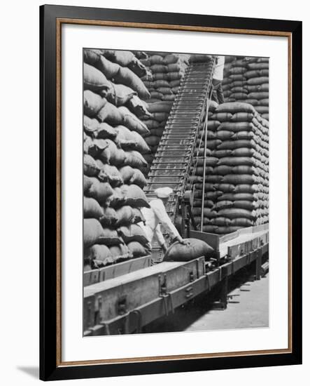 Workers Unloading Bags of Cocoa Beans at a Cadbury Manufacturing Plant-null-Framed Photographic Print