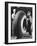 Workers with Truck Tires at Us Rubber Plant-Andreas Feininger-Framed Photographic Print