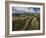 Working a Field near Manciano, Air View by Drone-Guido Cozzi-Framed Photographic Print