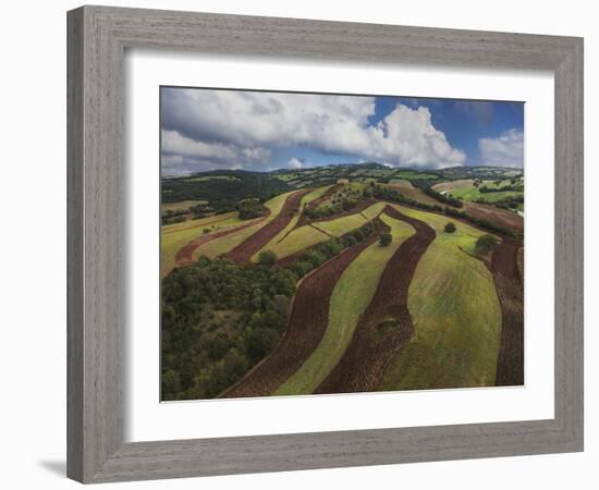 Working a Field near Manciano, Air View by Drone-Guido Cozzi-Framed Photographic Print