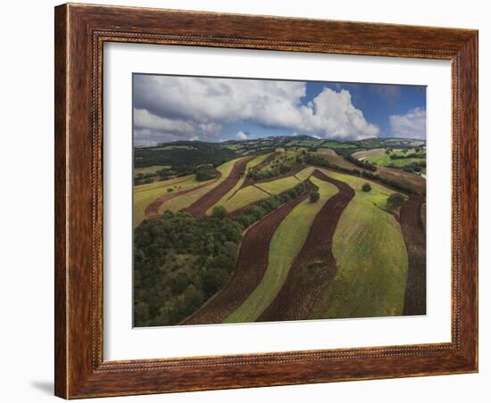 Working a Field near Manciano, Air View by Drone-Guido Cozzi-Framed Photographic Print