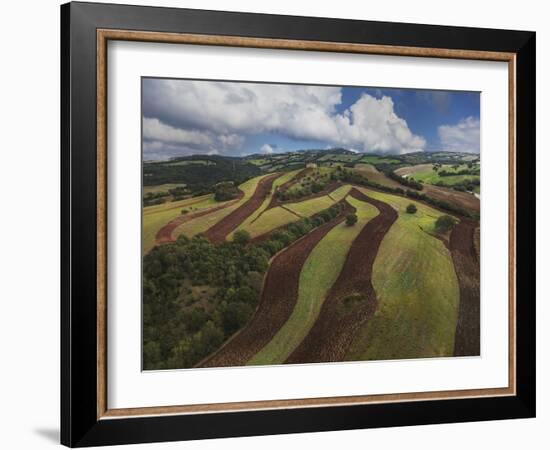 Working a Field near Manciano, Air View by Drone-Guido Cozzi-Framed Photographic Print