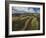 Working a Field near Manciano, Air View by Drone-Guido Cozzi-Framed Photographic Print