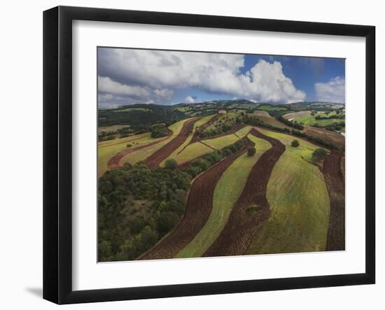 Working a Field near Manciano, Air View by Drone-Guido Cozzi-Framed Photographic Print