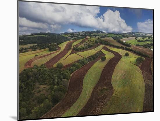 Working a Field near Manciano, Air View by Drone-Guido Cozzi-Mounted Photographic Print
