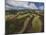 Working a Field near Manciano, Air View by Drone-Guido Cozzi-Mounted Photographic Print