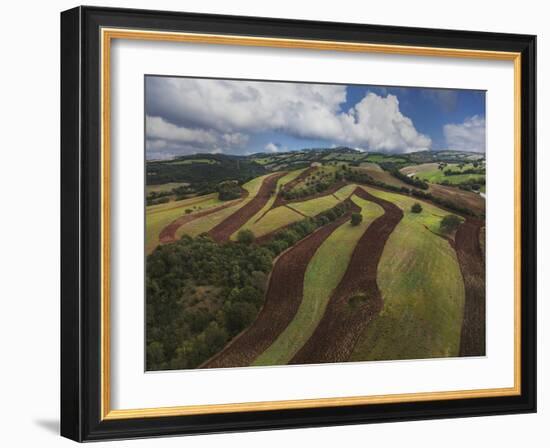 Working a Field near Manciano, Air View by Drone-Guido Cozzi-Framed Photographic Print