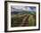 Working a Field near Manciano, Air View by Drone-Guido Cozzi-Framed Photographic Print