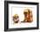 Working Dogs - English Bulldog And Dogue De Bordeaux Dressed Like Very Tire Construction Workers-Willee Cole-Framed Photographic Print