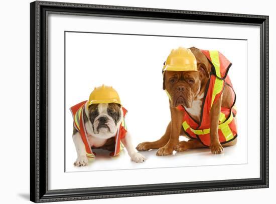 Working Dogs - English Bulldog And Dogue De Bordeaux Dressed Like Very Tire Construction Workers-Willee Cole-Framed Photographic Print