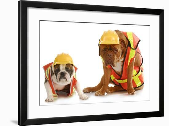Working Dogs - English Bulldog And Dogue De Bordeaux Dressed Like Very Tire Construction Workers-Willee Cole-Framed Photographic Print