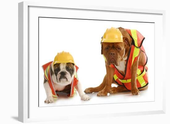 Working Dogs - English Bulldog And Dogue De Bordeaux Dressed Like Very Tire Construction Workers-Willee Cole-Framed Photographic Print