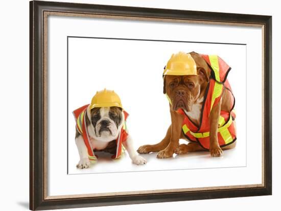 Working Dogs - English Bulldog And Dogue De Bordeaux Dressed Like Very Tire Construction Workers-Willee Cole-Framed Photographic Print