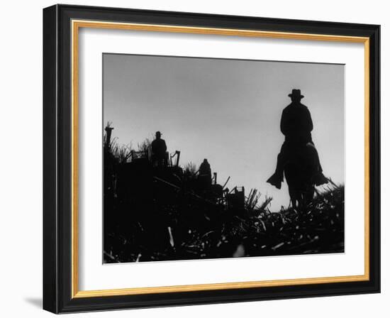 Workmen Harvesting Sugar Cane in a Field-Howard Sochurek-Framed Photographic Print