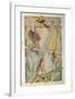 Works in Progress-Jasper Johns-Framed Collectable Print