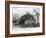 Works of the Strand Bridge-George Smith-Framed Giclee Print